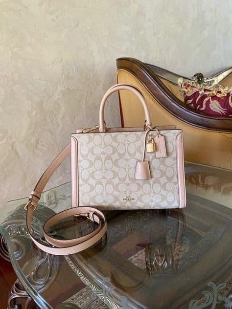 Couch Bag, Pink Coach Purses, Spring Purses, Trending Handbags, Luxury Bags Collection, Everyday Handbag, Handbag Essentials, Ladies Bag, Stylish Purse