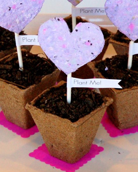 Celebrate the warm weather with the perfect spring project. Seed Paper is the next big thing in the DIY world and we love it too. Seed Paper Diy, Plantable Seed Paper, Paper Pop, Personal Celebration, Spring Projects, Seed Paper, Wedding Gift Favors, Mothers Day Crafts, Spring Crafts