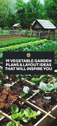 Vegetable Garden Plans, Kebun Herbal, Taman Diy, Funny Vine, Vegetable Garden Planner, Garden Layout Vegetable, Vegetable Garden Planning, Backyard Vegetable Gardens, Organic Vegetable Garden