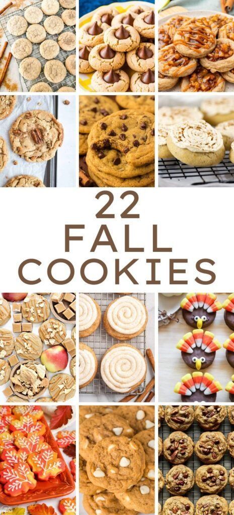 22 Fall Cookie Recipes to Celebrate the Season - ZEN AND HONEY Fall Snacks And Desserts, September Baking Recipes, Unique Fall Cookies, Fun Fall Cookie Recipes, Fall Recipes Cookies, Sweet Snack Recipes Simple, Fall Inspired Baked Goods, Fall Farmers Market Baked Goods, Best Fall Cookie Recipes