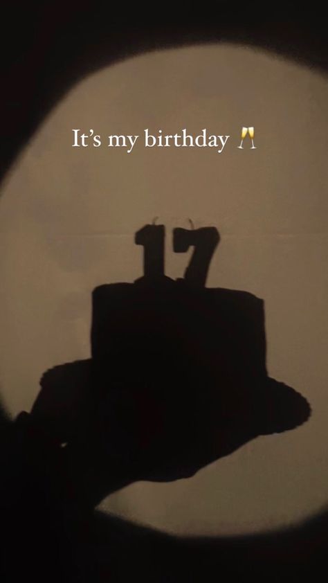 15 To 16 Birthday, Birthday Idea Photography, 17 Birthday Story Instagram, Bday Photo Ideas Aesthetic, 16 To 17 Birthday, Its My Birthday Photos, It’s My Birthday 17, Its My 16 Birthday, It’s My Birth Day