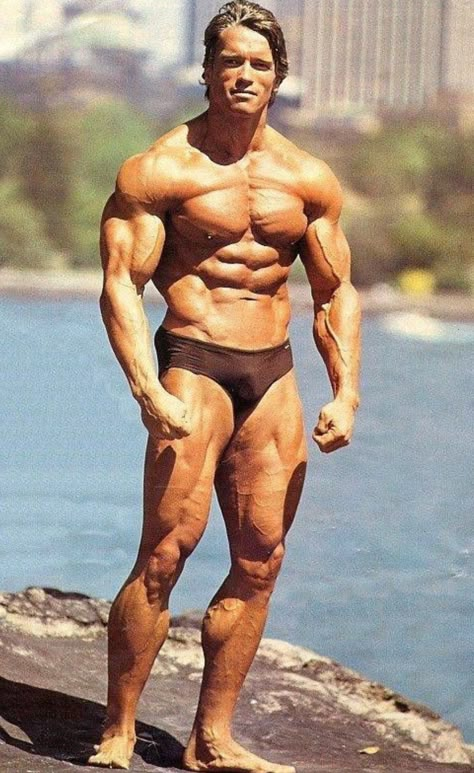 Arnold Schwarzenegger, Mr Olympia 1980 Arnold Physique, Arnold Schwarzenegger Back, Arnold Schwarzenegger Body, Building Motivation, Dream Physique, Arnold Schwarzenegger Bodybuilding, Schwarzenegger Bodybuilding, Body Build, Mr Olympia