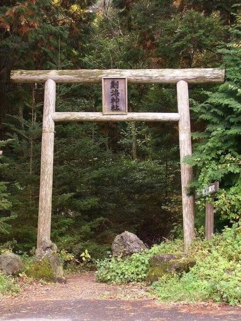 Aokigahara Forest, Japan Bucket List, Monte Fuji, Haunted Forest, Mount Fuji, Haunted Places, Japanese Culture, Japan Travel, The Well