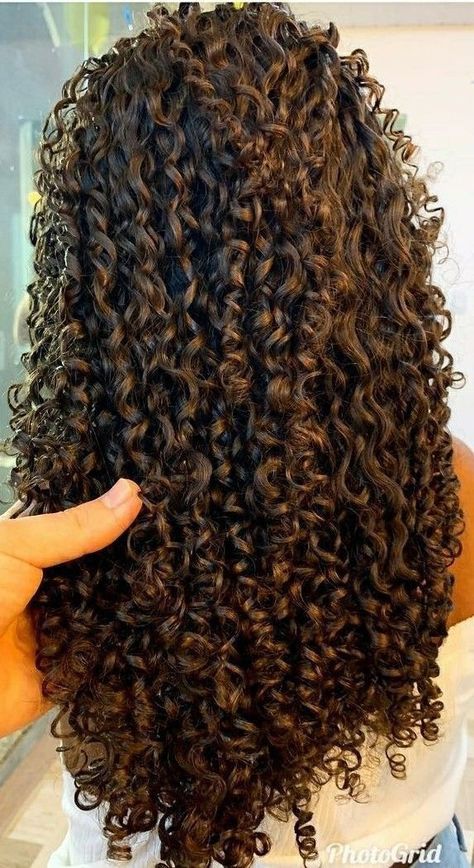 Mid Length 3b Curly Hair, Rezo Cut Curly Hair, Defined Curly Hair, 3b Natural Hair, Spiral Perm Long Hair, Long Brown Curly Hair, 3b Curls, Perfect Curly Hair, Curly Perm