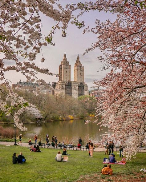 Spring In Central Park, Central Park Spring Aesthetic, Central Park In Spring, New York Facts, Central Park Spring, Central Park Aesthetic, Apple City, Nyc Vibes, Nyc Spring