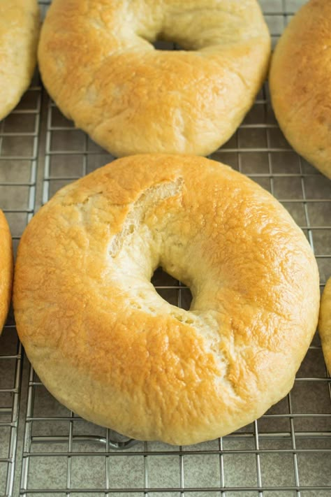 These Fluffy Homemade Plain Bagels are light and airy, perfectly chewy, with a crisp lightly golden crust. They're everything you want in a plain bagel. #bagel #homemadebagel #plainbagel #bagelrecipe #waterbagel #bagels Best Homemade Bagels, Buttermilk Recipe, Bagel Recipe Easy, Stand Mixer Recipes, Plain Bagel, Cafe Menu Design, Mixer Recipes, Clean Eating Lifestyle, Hall House