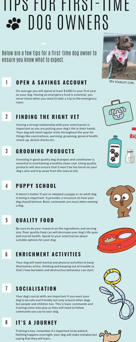 tips for first time dog owners Puppy Checklist, Dogs Tips, Dog Breeding, Dog Pitbull, Puppies Tips, Dog Health Tips, Dog Tips, Dog Health Care, Dog Care Tips