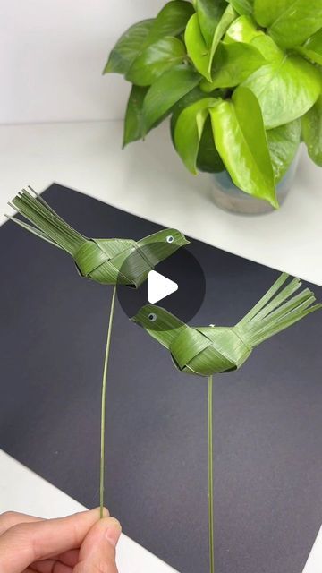 paper crafts creator on Instagram: "Title: "Palm Leaf Bird Weaving: Simple and Cute Nature Craft!"
Hashtags: #NatureCrafts #DIYBird #ParentChildCrafting #CreativePlay #HandmadeKidsCrafts" Diy Palm Leaf Decor, Palm Leaf Weaving, Palm Leaf Craft, Palm Weaving, Palm Leaf Decor, Greek Party, Palm Leaf Art, Nature Craft, Cute Nature