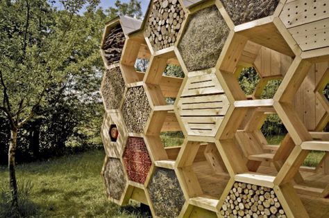 The K-Abeilles Hotel for Bees provides a safe and intriguing space for wild bees to take refuge and also offers up a shady resting spot for humans at the Muttersholtz Archi Festival. Carpenter Bee Trap, Bee Traps, Wooden Pavilion, Wild Bees, Bee Hotel, Insect Hotel, Bug Hotel, Bee House, Bee Garden