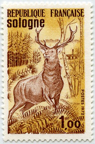 Timbre de 1972 Stamp Collection Ideas, Deer Stamp, Animals With Horns, طوابع بريد, Postage Stamp Collecting, Animal Stamps, Instax Photos, Stamps Postage, Deer Stags