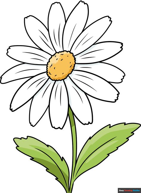 Learn to draw a Daisy Flower. This step-by-step tutorial makes it easy. Kids and beginners alike can now draw a great Daisy Flower. Daisy Flower Drawing, Diy Drawings, Daisy Drawing, Organizator Grafic, Easy Flower Drawings, Tree Drawings Pencil, Pencil Drawings Of Flowers, April Birth Flower, Sunflower Drawing