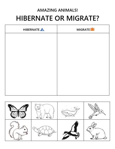 Migration Preschool, Migration Animals, Migrating Animals, Kindergarten Seasons, Hibernation Preschool Crafts, Migration Movie, Preschool Hibernation, Migration Activities, Animal Sorting