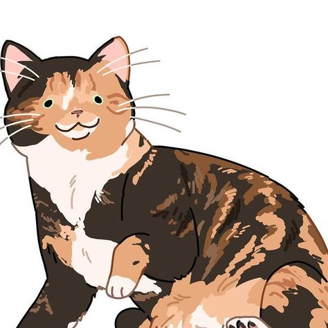 Tortoiseshell Cat Drawing, Tortie Cat Drawing, Calico Cat Drawing, Sammy Savos, Tortoise Cats, Calico Cat Art, Cats Calico, Tortie Cat, Tortoiseshell Cat