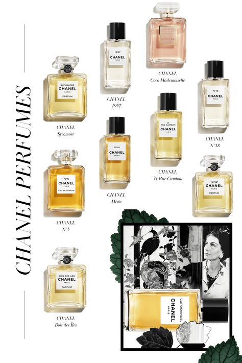 Chanel Perfumes, Perfume For Women Top 10, Perfume Names, Fragrance Lab, Chanel Fragrance, Parfum Chanel, Perfume Display, Perfume Organization, Fragrances Perfume Woman