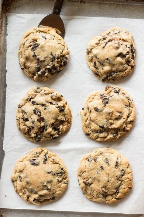 Everyone needs these big fat chocolate chip cookies in their life. Crunchy on the outside, chewy in the middle, and full of melty chocolate chips. Fat Chocolate Chip Cookies, Big Chocolate Chip Cookies, Big Chocolate, Big Cookie, Chocolate Cookie Recipes, Best Chocolate Chip Cookie, Lost 100 Pounds, Chocolate Chip Oatmeal, Cookies Recipes Chocolate Chip