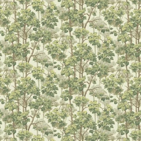 Forest Wallpaper Dining Room, Tree Branch Wallpaper, Albany Wallpaper, Green Dining Room, Cream Wallpaper, Basement Bathroom, Forest Wallpaper, Tree Wallpaper, Wallpaper Direct