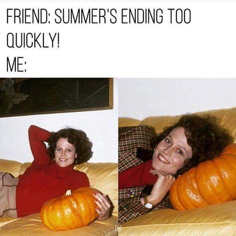 Sigourney Weaver and a Pumpkin Memes Friends, Halloween Meme, Hate Summer, Fall Humor, Fall Memes, A T, Halloween Memes, L A, Sigourney Weaver