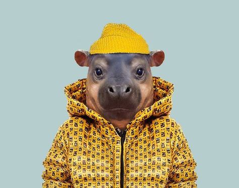 Incredibly Cute Portraits of Baby Animals Dressed Like Humans | My Modern Met | Bloglovin’ Animals Wearing Clothes, Pygmy Hippopotamus, Bornean Orangutan, Human Zoo, Otter Pup, Fox Pups, African Bush Elephant, African Giraffe, Exotic Shorthair Cat