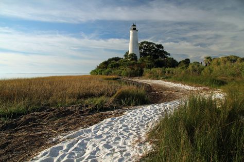 Florida Hiking, Panhandle Florida, Florida Caverns State Park, Things To Do In Florida, Best Beaches To Visit, Dog Friendly Beach, Florida Panhandle, Florida Destinations, Places In Florida