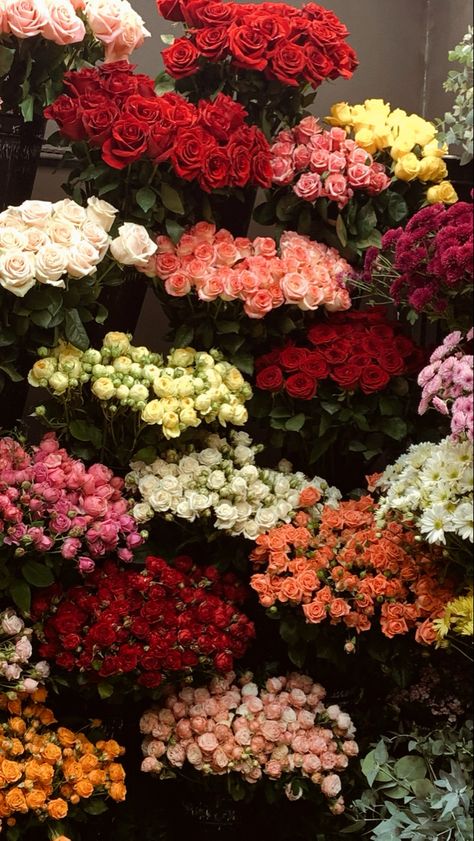 Flowers Shop Aesthetic, Flowers Bouquet Wallpaper, Rose Flowers Aesthetic, Roses Aesthetic Bouquet, Rose Bouquet Aesthetic, Flowers Aesthetic Roses, Rose Flower Aesthetic, Roses Flowers Aesthetic, Flowershop Aesthetic