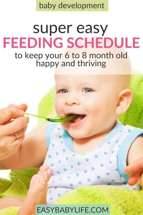 Simply and practical feeding schedule for 6-month-old babies up to 8-month-old babies! Feeding schedule for baby, baby feeding chart, baby feeding schedule when introducing solids, baby feeding tips Feeding Schedule For Baby, Baby Feeding Chart Introducing Solids, 6 Month Old Schedule, Feeding Baby Solids, Baby Food Schedule, Baby Solid Food, Baby Feeding Chart, Baby Food Chart, Eating Schedule