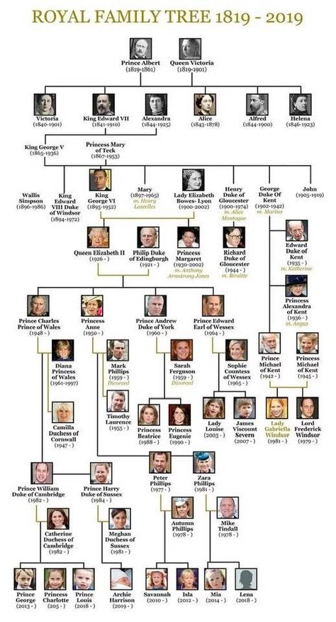 Princesa Clash Royale, Victoria Family Tree, Queen Victoria Family Tree, Royal Family Tree, Family Tree Images, British Royal Family Tree, Elizabeth Queen, Queen Victoria Family, Royal Family Trees