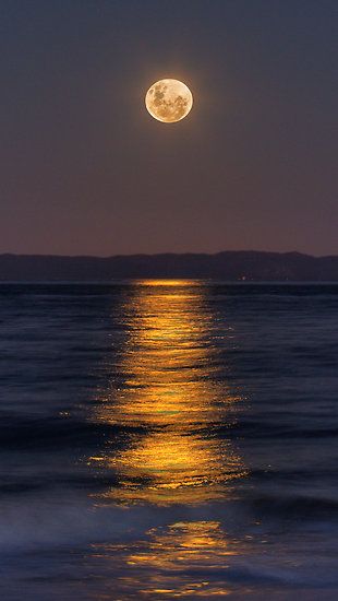 ~~Reflections of a Perigee Moon ~ Super Moon, Burpengary, Australia by Steve Bass~~ Shoot The Moon, Moon Photos, Moon Pictures, Moon Photography, Super Moon, Moon Lovers, The Full Moon, Beautiful Moon, صور مضحكة