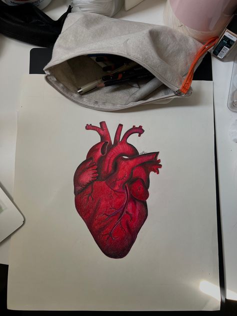 Human Heart Painting On Canvas, Human Heart Drawing Aesthetic, Heart Drawing Color, Palak Drawing, Human Heart Painting, Heart Drawing Aesthetic, Gemini Sign Tattoo, Human Heart Art, Human Heart Drawing