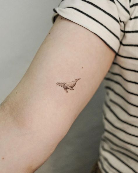 small shark tattoos • Instagram Whale Shark Line Tattoo, Little Shark Tattoo, Small Whale Tattoo, Small Shark Tattoo, Whale Shark Tattoo, Tattoos Instagram, Whale Tattoo, Small Shark, Whale Tattoos