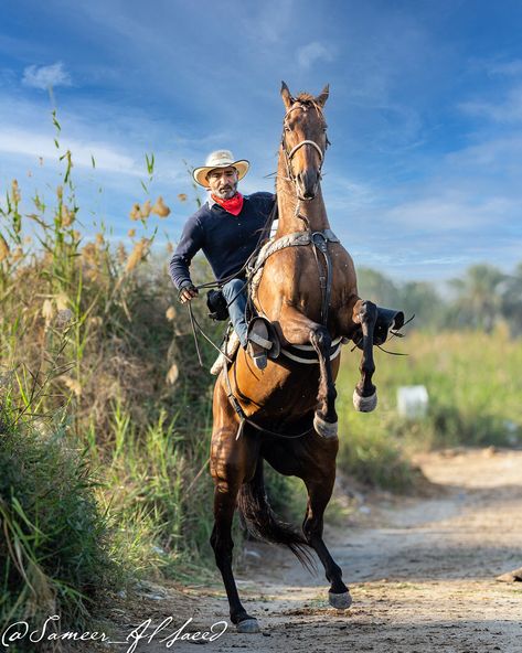 Bahrain Cowboy horse rearing Cowboy On Rearing Horse, Cowboy Poses Reference Horse, Man Riding Horse Reference, Horse Rearing With Rider Drawing, Sitting On Horse Pose Reference, Cowboy On Horse Reference, Rearing Horse With Rider, Cowboy Reference Photo, Horse Riding Poses