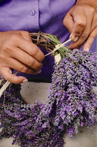 Lavender Crafts, Lavender Wreath, Lavender Plant, Lavender Farm, Lovely Lavender, Wreath Making, Deco Floral, Media Kit, Wreath Crafts