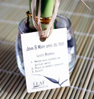 diy+lucky+bamboo+wedding+favors | Of course, this favor sure is simple enough that I could make it ... Tropical Wedding Favor, Bamboo Wedding, Tree Favors, Bonsai Care, Ninjago Party, Indoor Bonsai Tree, Seed Kit, Event Favors, Lucky Bamboo