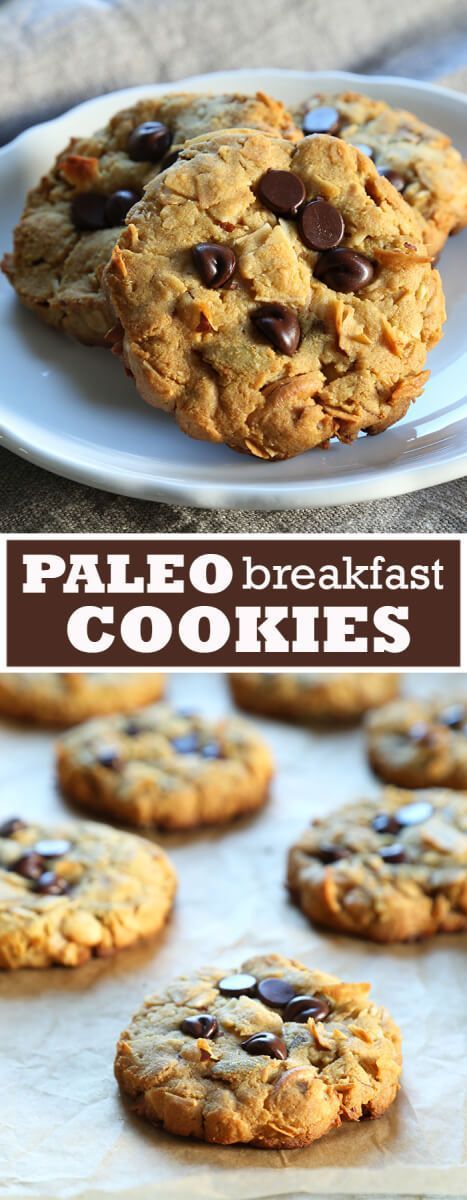 Get this tested recipe for Paleo Breakfast Cookies. A tasty, healthy way to start your day - grain free, gluten free, refined sugar free, dairy free! Paleo Breakfast Cookies, Paleo Cookies, Paleo Baking, Paleo Sweets, Paleo Chocolate, Paleo Treats, Tasty Healthy, Paleo Breakfast, Gluten Free Breakfasts