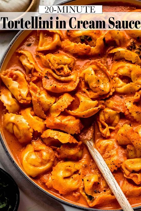 Tortellini With Tomato Cream Sauce, Vodka Sauce Tortellini Recipes, 5 Cheese Tortellini Sauce, Marinara Cream Sauce, Cheese Tortellini With Marinara Sauce, Tortellini Marinara Recipes, Cheese Tortellini Recipes Red Sauce, Tortellini Pasta Aesthetic, Vodka Sauce Tortellini