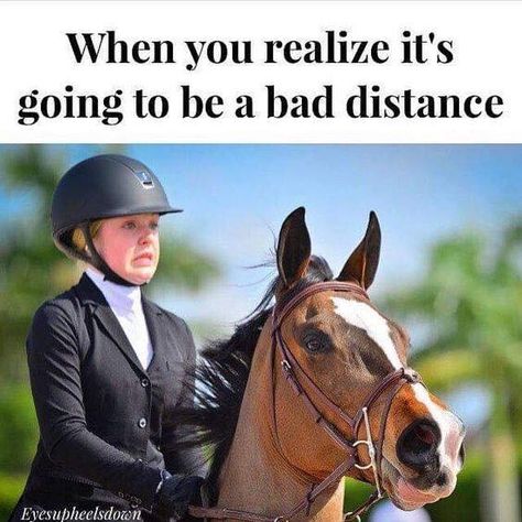 So true!! Just hang on and jump. Horse Riding Memes, Equestrian Funny, Equestrian Memes, Equine Quotes, Funny Horse Memes, Horse Meme, Horse Quotes Funny, Funny Horse Videos, Horse Jokes