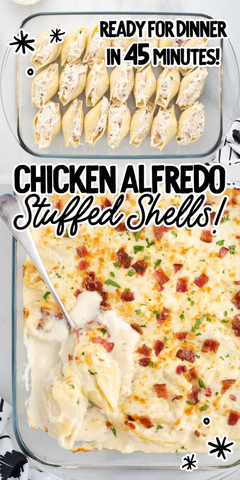 Our chicken alfredo stuffed shells are creamy and cheesy and make a hearty and delicious meal for a busy night. Alfredo Stuffed Shells, Chicken Alfredo Stuffed Shells, Savory Dips, Spinach Cheese, Fast Dinner Recipes, Stuffed Shells Recipe, Beef Enchiladas, Pasta Dinner Recipes, Dinner Recipes For Family