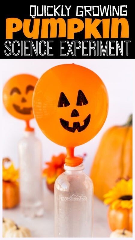 Reggio Halloween, Pumpkin Science Preschool, 1st Grade Science Experiments, Halloween Chemistry, Growing Pumpkin, Homeschool Halloween, Halloween Kita, Pumpkin Science Experiment, Halloween Experiments