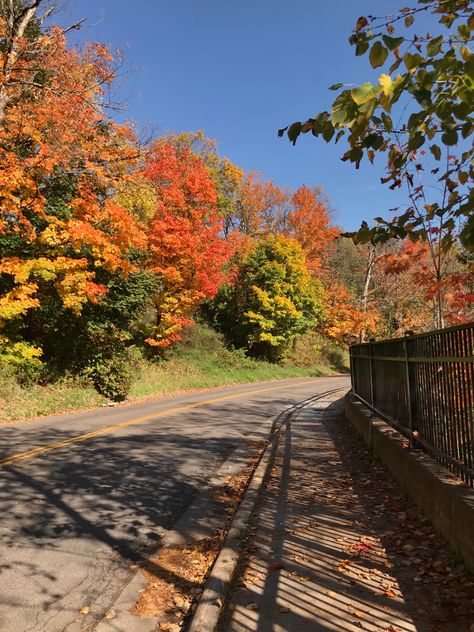 Midwest Fall Aesthetic, Duluth Aesthetic, Duluth Minnesota Aesthetic, Fall Colors 2022, Duluth Minnesota Fall, Fall College Aesthetic, Midwest Autumn, Minnesota Autumn, Summer Fall Aesthetic