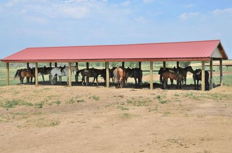 Diy Horse Shelter, Horse Shelter Ideas, Horse Run In Shed, Horse Run In Shelter, Painted Garden Sheds, Pasture Shelter, Steel Houses, Horse Shelters, Field Shelters