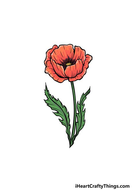 How to Draw A Poppy – A Step by Step Guide Draw Poppy Flower, Rain Cloud Tattoos, Poppy Flower Drawing, Poppy Images, Cool Drawing, Poppy Drawing, Cloud Tattoo, Book Drawing, Flower Template