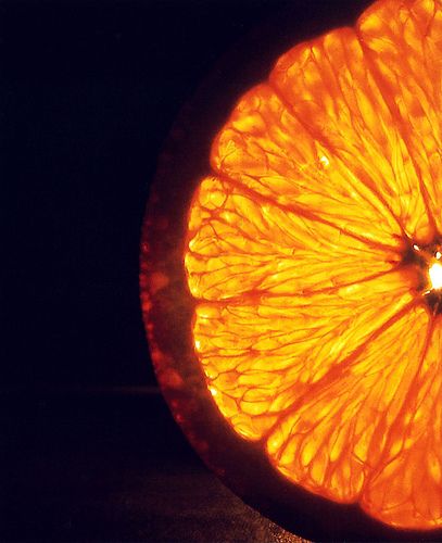 orange, lit from behind, texture Close Up Art, Fruit Photography, Close Up Photography, Fruit Painting, Orange Colour, Orange Aesthetic, Orange Fruit, Best Fruits, Gcse Art