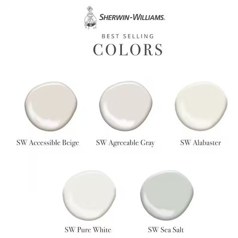 Best Selling Sherwin Williams Neutral Paint Colors White Paint Colors BIG 18x12 Painted Color Boards - Etsy Eager White Sherwin Williams, Off White Bathroom Paint Colors, Shades Of White Interior Paint, Best Neutral Cream Paint Colors, Sherwin Williams Sanctuary Paint Color, Sherwin Williams Whites And Neutrals, Creamy White Paint Colors Sherwin Williams, Sherwin Williams Ivory Paint Colors, Best Interior White Paint Colors 2024