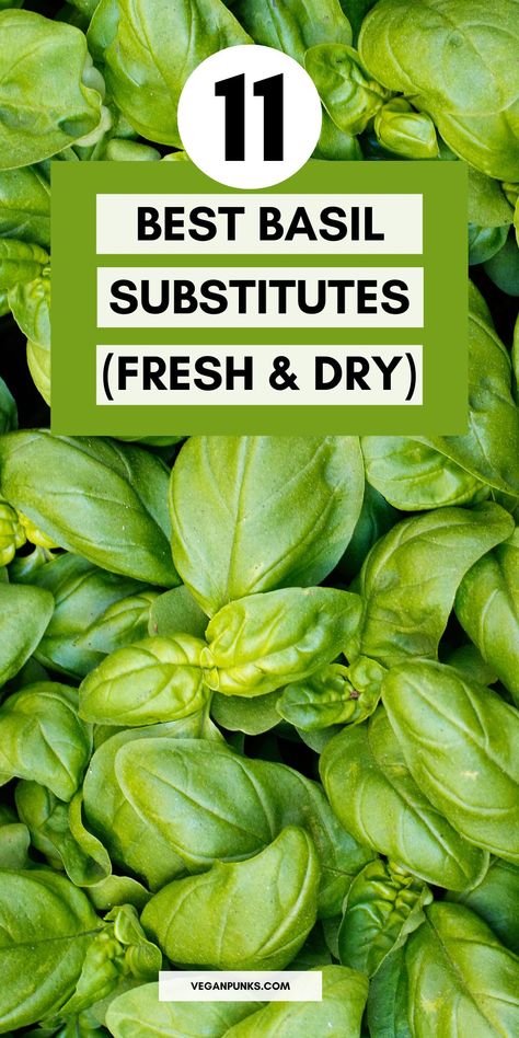 Fresh basil on a Pinterest pin with a title. Dry Basil, Spice Mix Recipes, Dried Basil, Mix Recipes, Storage Tips, Spice Mix, Best Vegan Recipes, Basil Leaves, Stir Fries