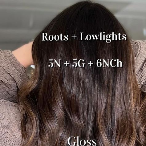 Elaine Cavada | ILLINOIS |BALAYAGE | BRUNETTE LOVER on Instagram: "Brown Sugar Formula  @redken Shades Eq Roots + Depth 5N + 5G + 6NCh  Gloss 7NCh + 7P + 6NB  #chicagobalayage #darkbalayage #wheatonhairstylist #brunettehighlights #illinoishair #illinoiscolorist #darkbalayage #chicagohaircolorist #brunettespecialist #brunettehairinspo #redkenshadeseqgloss #dimensionalbrunette #balayagechicago #midwesthairstylist" Redken 5n Shades Eq, 5n Hair Color With Highlights, Chestnut Brown Hair Shades Eq, Chocolate Brown Redken Shades Eq, 6nch Redken, Redken Dark Brown Formula, Brunette Color Formulas, Redken Hair Color Formulas Brown, Brown Balayage Formula