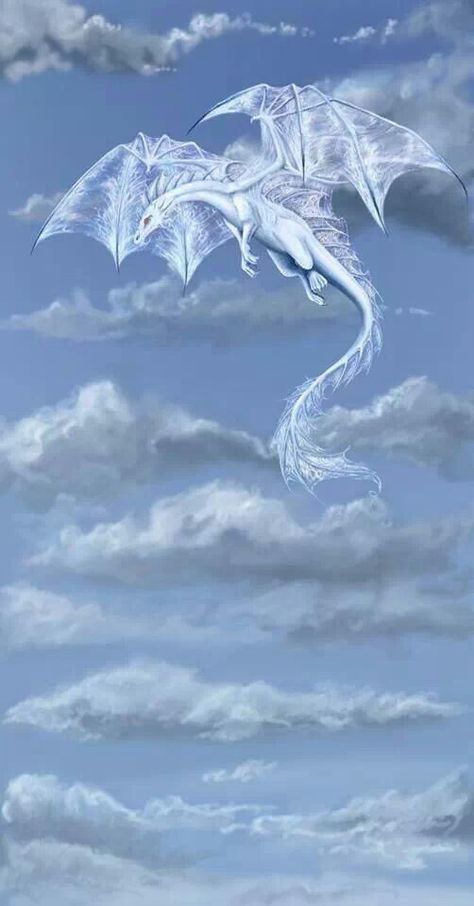 Cloud Dragon Dragon Air, Elemental Dragons, Fantasy Animals, Animal Guides, Dragon Sketch, Dragon City, Water Dragon, Dragon Rider, Legendary Creature