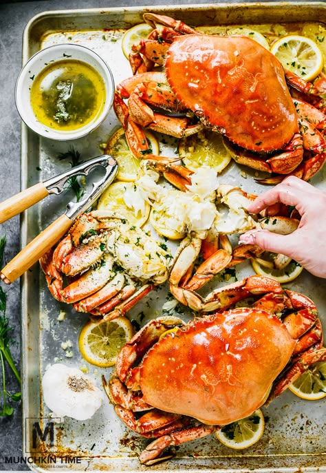 How To Cook Dungeness Crab, Whole Dungeness Crab Recipes, Whole Crab Recipes, Crab Sauce Recipe, Cooking Dungeness Crab, Crab Recipes Easy, Dungeness Crab Legs, Dungeness Crab Recipes, Crab Bake