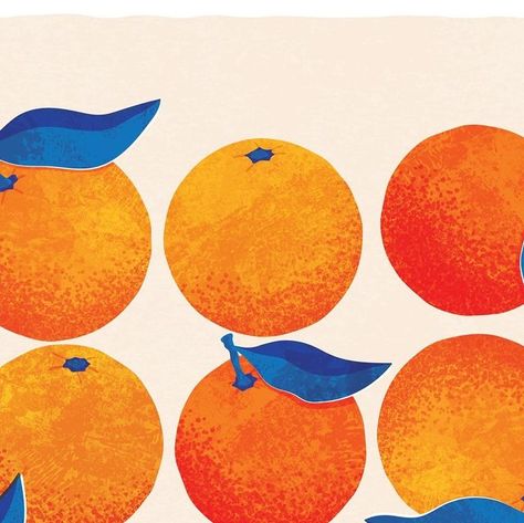 Rebecca Hollingsworth on Instagram: "🍊💙🍊💙🍊  Hope you’re all enjoying what’s left of the weekend! Always goes so fast! . . . . . .  ©️ @rh_illustration  #drawing #foodillustration #illustration #designer #illustrator #foodillustrator #womenillustrators #illustrationoftheday #texture  #fruit #femaleillustrator #orangeillustration #illustrated_now #fruitillustration #picame #womenofillustration #orange #clementine #tangerine #illustrationartist #printandpattern #spring #tempuradesign #dailychallenge #weareillustration #colour #illustration_daily #foodillustrations #digitalillustration #theydrawandcook" Clementine Drawing, Tangerine Drawing, Colour Illustration, Messy Art, Fruit Illustration, Daily Challenges, Illustration Artists, Food Illustrations, Illustration Drawing