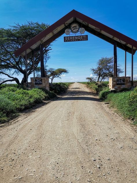 A safari in the Serengeti is a must do travel bucket list expereince! To check out what we saw, visit our blog :) Serengeti Safari, Safari Resort, Mount Meru, Vbs Decorations, Africa Vacation, Fake Photos, Serengeti National Park, Visit Places, Youtube Success