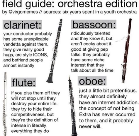 Band Humor Flute, Bassoon Memes, Clarinet Jokes, Flute Jokes, Flute Memes, Clarinet Humor, Musician Jokes, Marching Band Jokes, Flute Problems