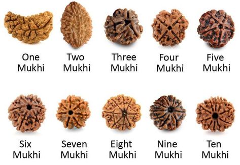 Different Types of Rudraksha Beads and their benefits Rudraksha Jewelry, Rudraksha Bracelet, Rudra Shiva, Rudraksha Mala, Om Namah Shivay, Rudraksha Beads, Shiva Wallpaper, One Two Three, Lord Shiva